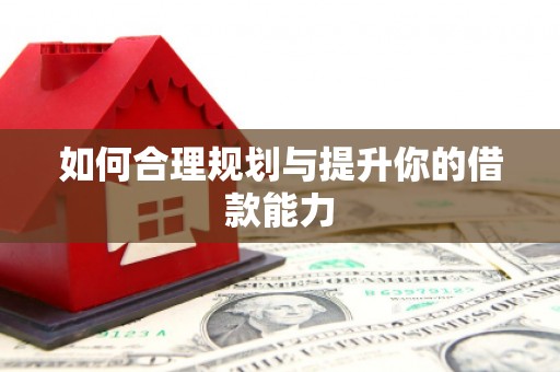 市中区如何合理规划与提升你的借款能力