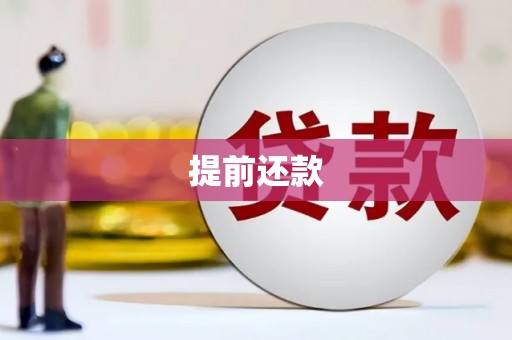 市中区提前还款