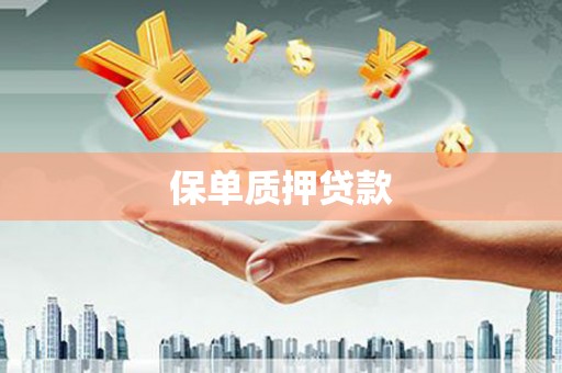 市中区保单质押贷款