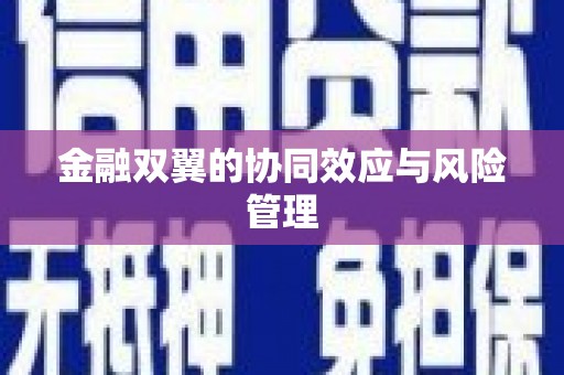 市中区金融双翼的协同效应与风险管理