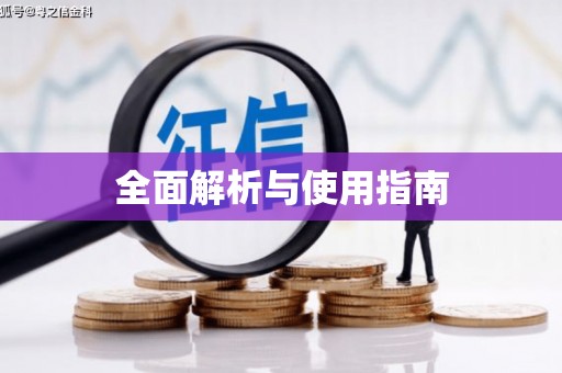市中区全面解析与使用指南