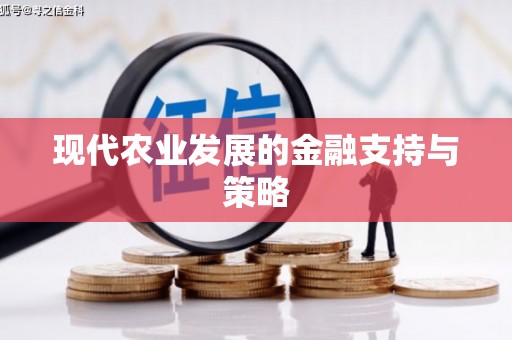 市中区现代农业发展的金融支持与策略