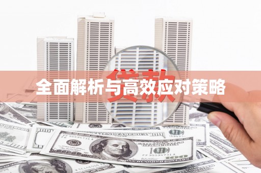 市中区全面解析与高效应对策略