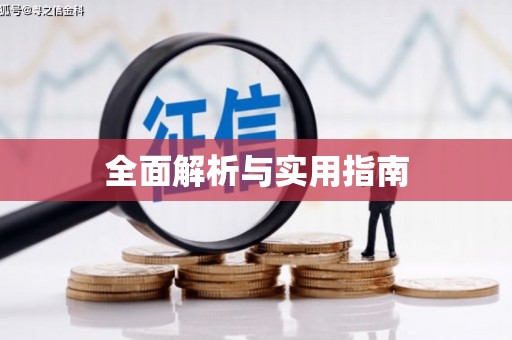 市中区全面解析与实用指南