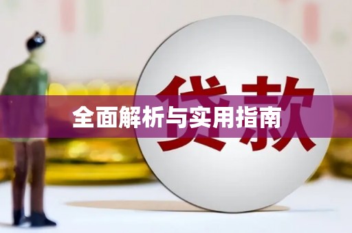 市中区全面解析与实用指南